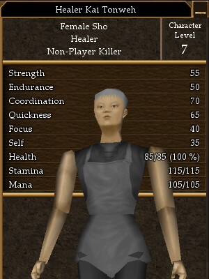 Healer Kai Tonweh.jpg