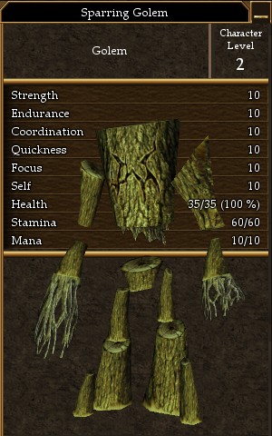 Sparring Golem.jpg