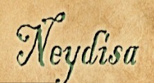 Neydisa (Town Network Sign) Live.jpg