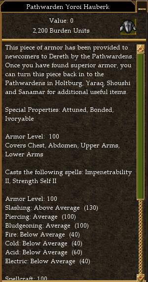 Pathwarden Yoroi Hauberk.jpg