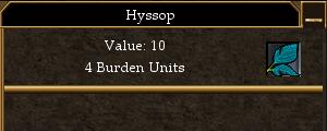 Hyssop.jpg