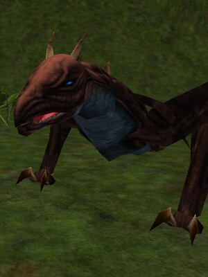 Adolescent Rust Gromnie Live.jpg