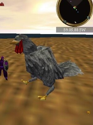 Gobbles Live.jpg