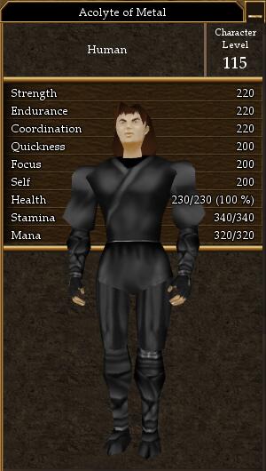 Acolyte of Metal.jpg