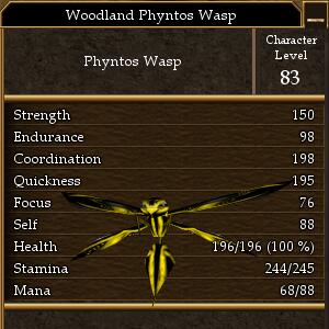 Woodland Phyntos Wasp.jpg