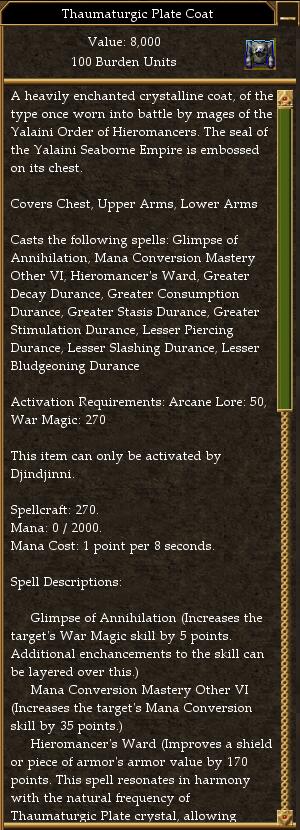 Thaumaturgic Plate Coat.jpg