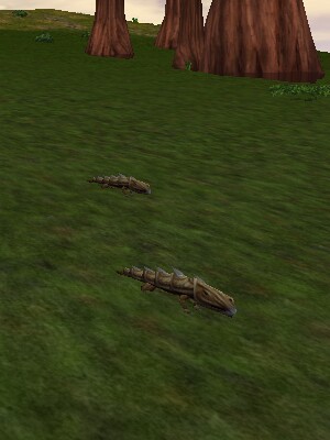 Spikey Armoredillo Pup Live.jpg