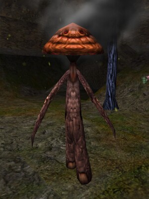 Deathcap Thrungus Live.jpg