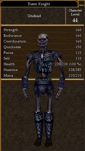 Risen Knight.jpg