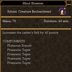 Mind Blossom.jpg