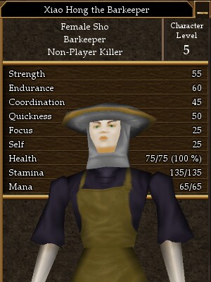 Xiao Hong the Barkeeper.jpg