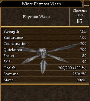 White Phyntos Wasp.jpg