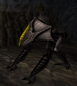 Reedshark Skinner Live.jpg