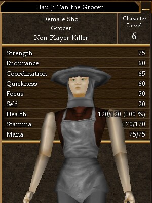 Hau Ji Tan the Grocer.jpg