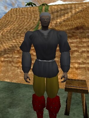Gerloc the Defender Live.jpg