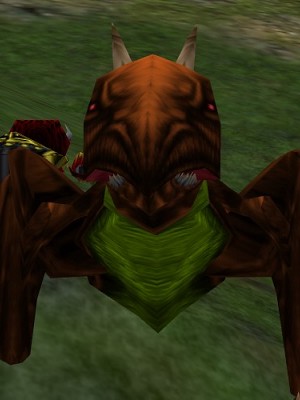 Copper Gromnie Live.jpg