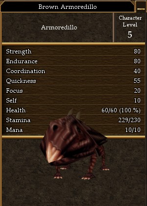 Brown Armoredillo.jpg