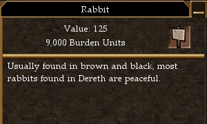 Rabbit (Town Network Painting).jpg