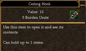 Ceiling Hook.jpg