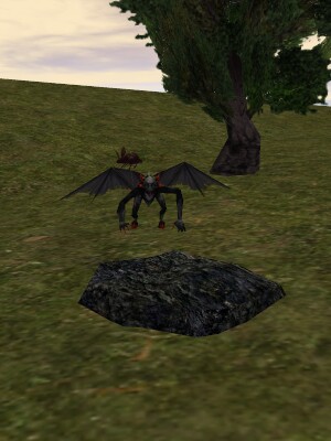 Dark Rock Live.jpg