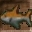 Large Orange Fish Icon.png
