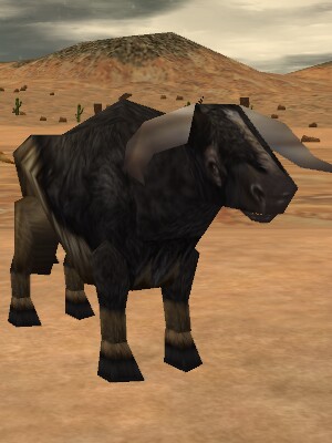 Auroch Fire Bull Live.jpg