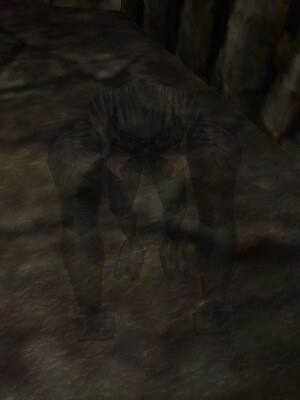 Imp Live.jpg