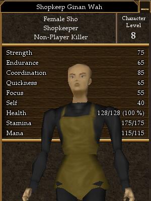 Shopkeep Ginan Wah.jpg