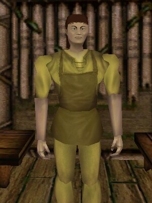 Hiruhi Fensen the Scribe Live.jpg