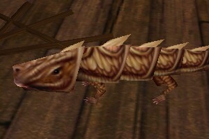 Pet Armoredillo Pup Live.jpg
