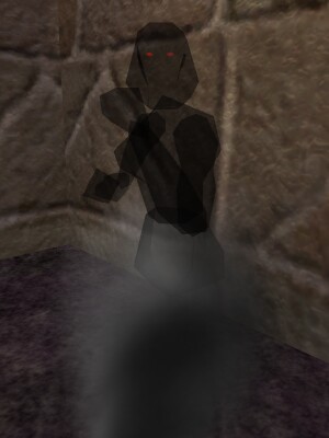 Shadow Nightmare Live.jpg