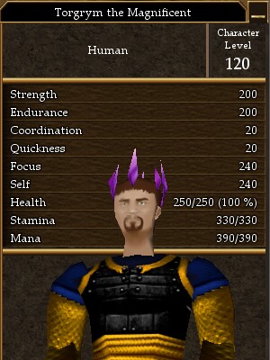 Torgrym the Magnificent.jpg