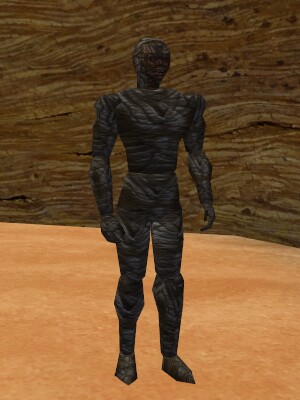 Sha-dekanma Live.jpg