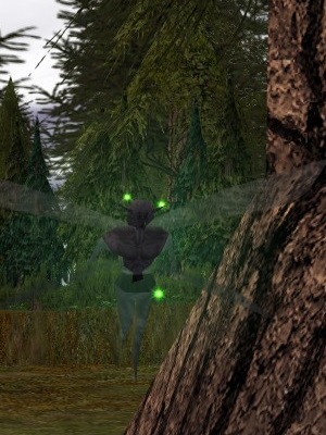 Swift Live.jpg