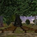 Thumbnail for version as of 12:26, 9 June 2023