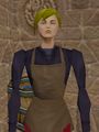 Armorer (Aluvian) Live.jpg