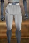 Breeches Argenory Live.jpg