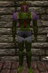 Lorica Armor Berimphur Live.jpg