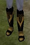 Viamontian Laced Boots (Store) Brown Live.jpg