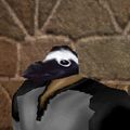 Thumbnail for version as of 13:08, 9 June 2023