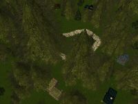 Pine Deep Live.jpg