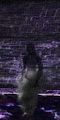 Shadow (Town Network Painting) Live.jpg