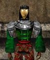 Doomshark Hide Coat Verdalim Live.jpg