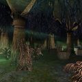 Burun Cavern