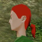 Haircut Skin Female 4 Live.jpg