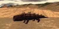 Armoredillo (Town Network Painting) Live.jpg