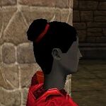 Haircut Skin Female 1 Live.jpg