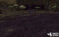 Asheron's Call WarCry