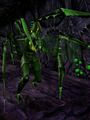 Thumbnail for version as of 13:06, 9 June 2023