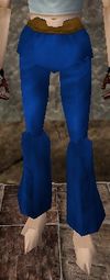 Viamontian Pants (Store) Dark Blue Live.jpg